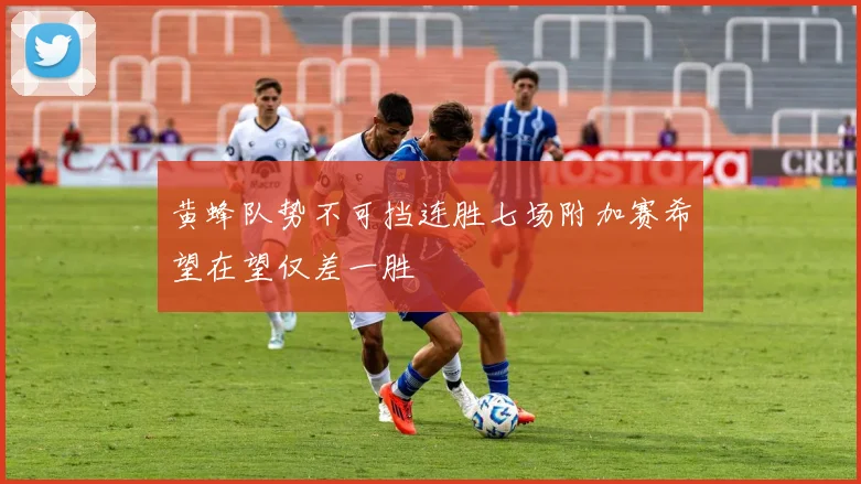 黄蜂队势不可挡连胜七场附加赛希望在望仅差一胜