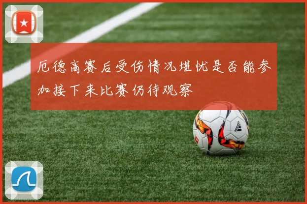 厄德高赛后受伤情况堪忧是否能参加接下来比赛仍待观察