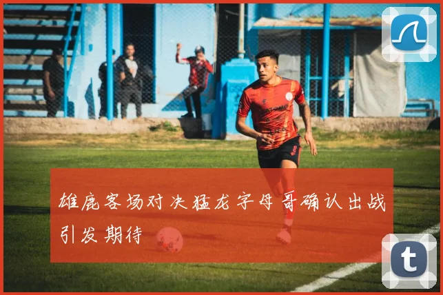 雄鹿客场对决猛龙字母哥确认出战引发期待